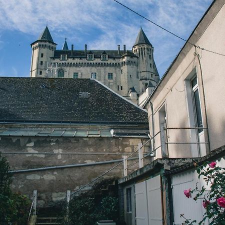 T2 Bedinsaumur Loire Chateau Tout Confort 외부 사진